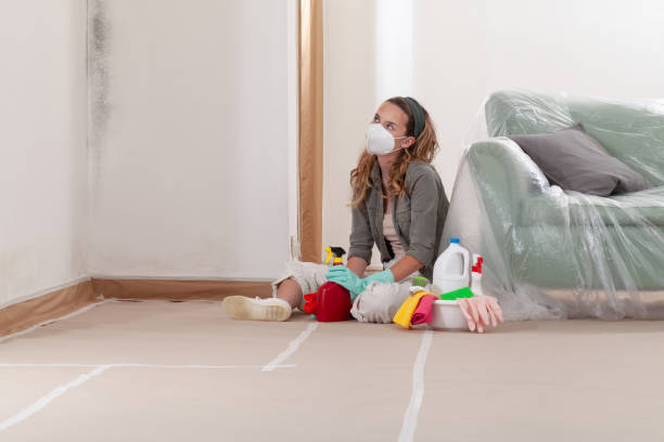 Reliable Mold Remediation contractor in Golf, IL by WQB Mold Removal